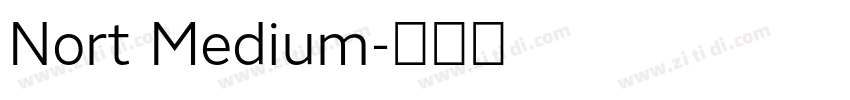 Nort Medium字体转换